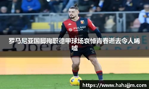 bsports官网