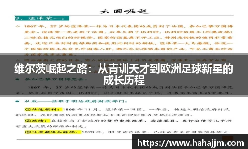 bsports官网入口